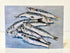 Sardines - Greetings Card