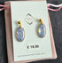 Stainless Steel Real Dried Forget Me Not Flowers Dangle Earrings
