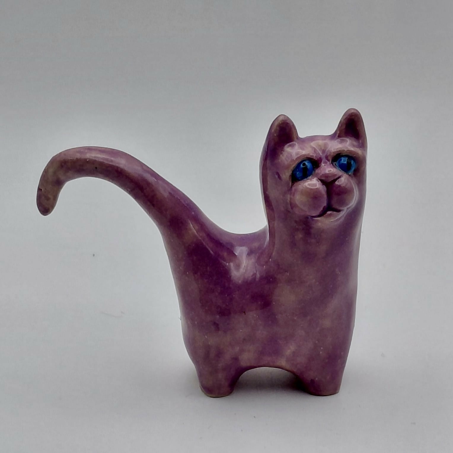Lilac Curious Cat