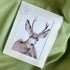 Mule Deer Wall Art | Luxury Velvet Paper Print | Woodland Animal Decor