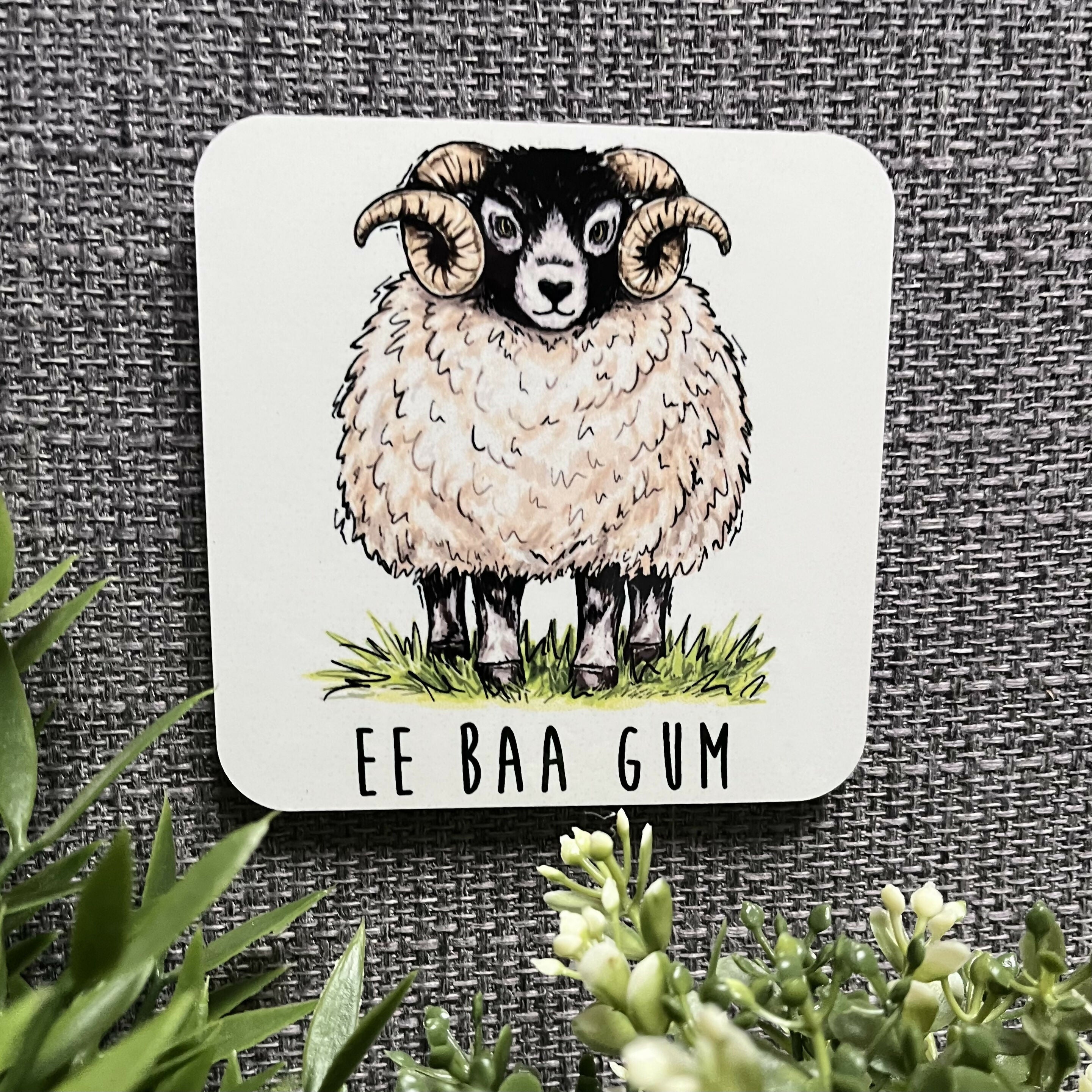 Ee Baa Gum Yorkshire Sheep Coaster