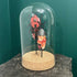 Lovely Glass Dome Featuring Two Red & Black Floral 3D Paper Beetles