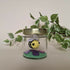 Bee Jar Purple 6 Painty Paws 2025
