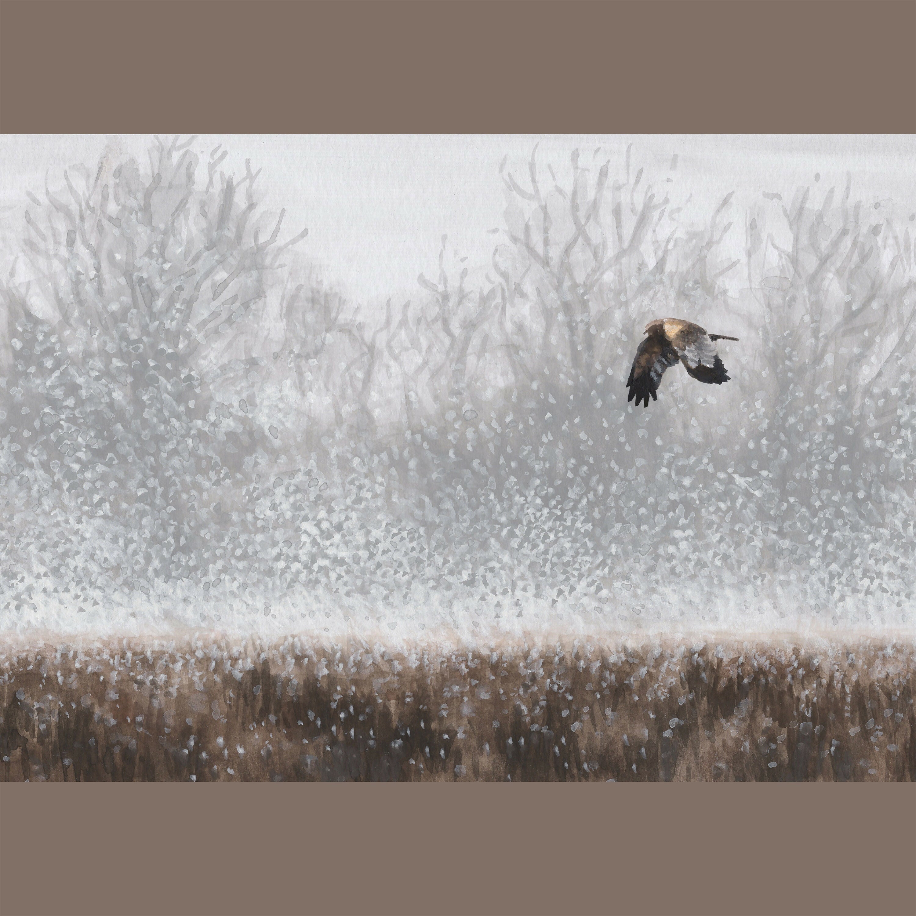 Harrier in the Snow - A5 Print