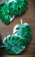 Monstera Coasters