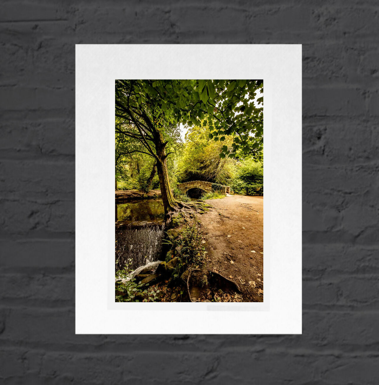 Meanwood Bridge Tree Roots, Mounted Photographic Print