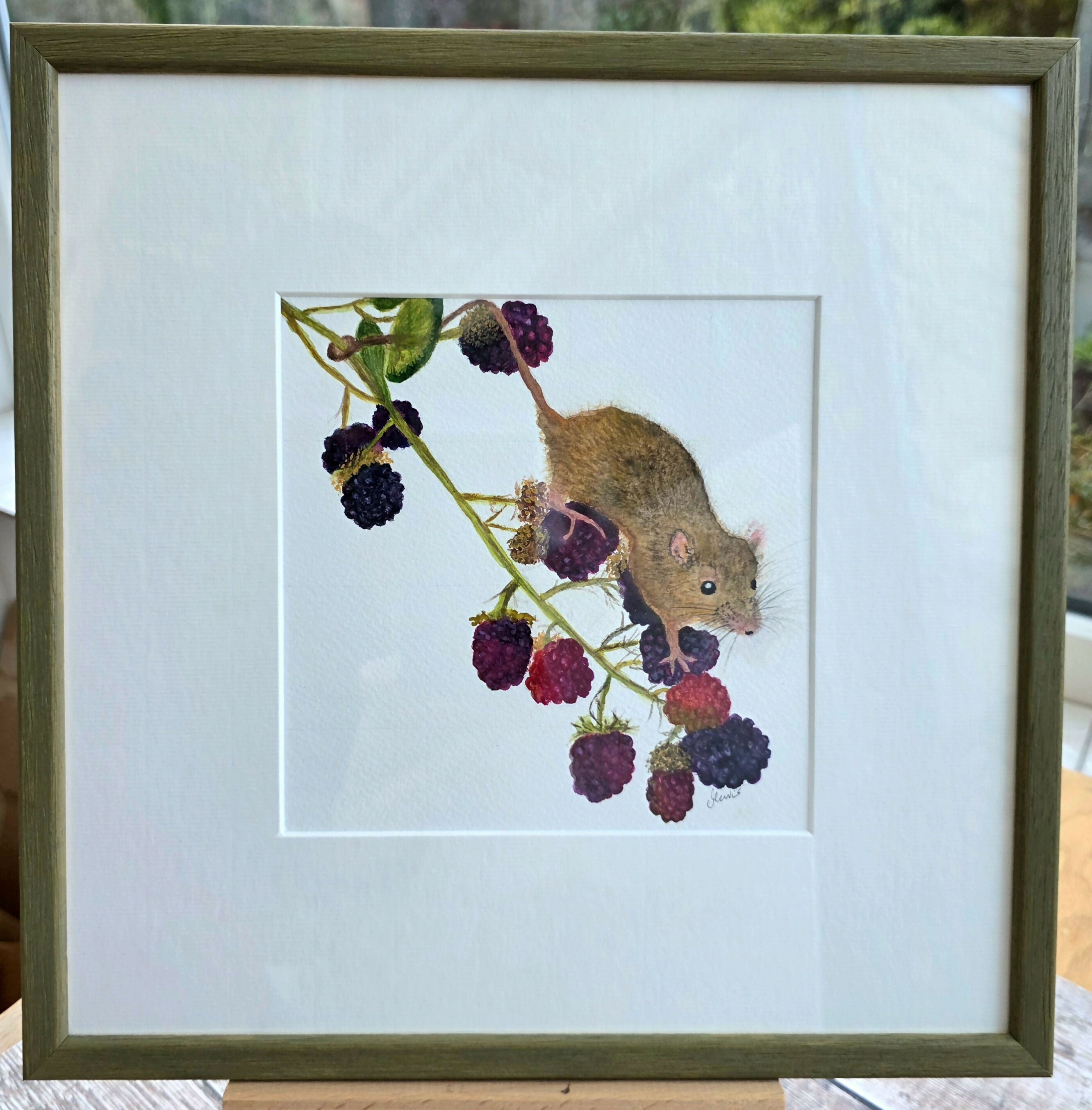 'Harvest Mouse with his Bounty of Blackberries' - Framed Original Mixed Media Painting