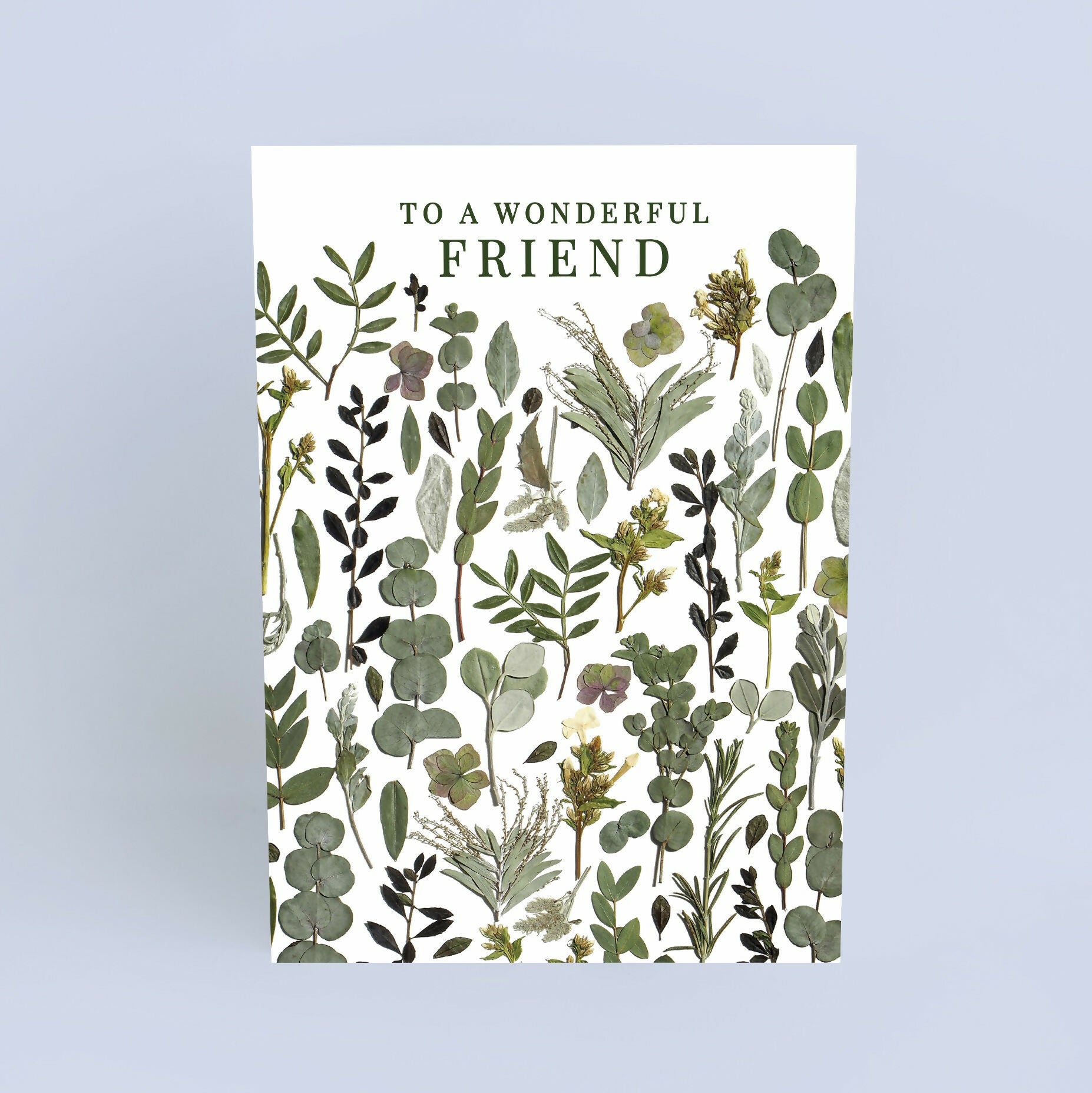 Wonderful Friend Green Pressed Flower Print Card