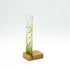 Spring Daisy Small Plinth