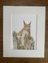 Red Squirrel