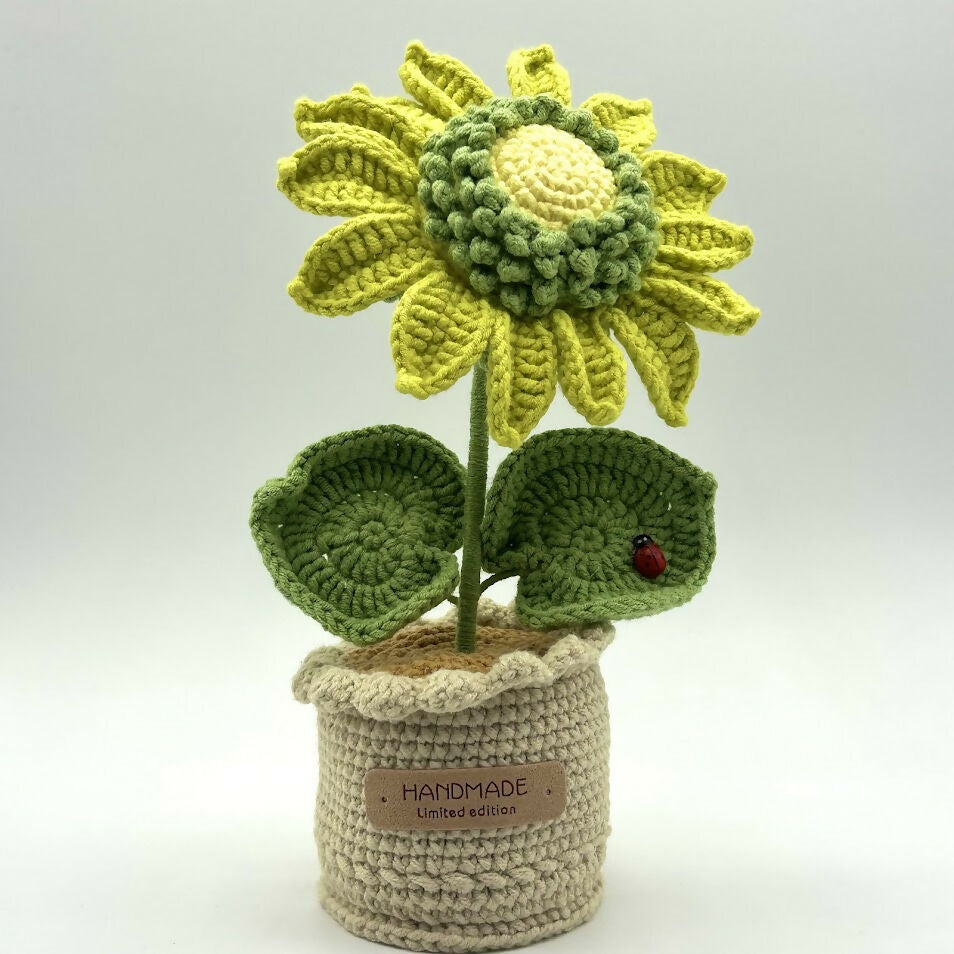 Pastel Coloured Crochet Sunflower in Scallop Trimmed Pot