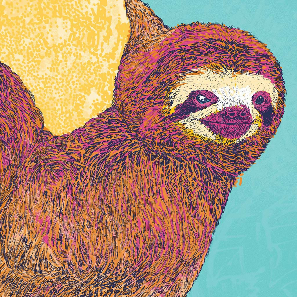 Happy Sloth – Exotic Animal Art Print