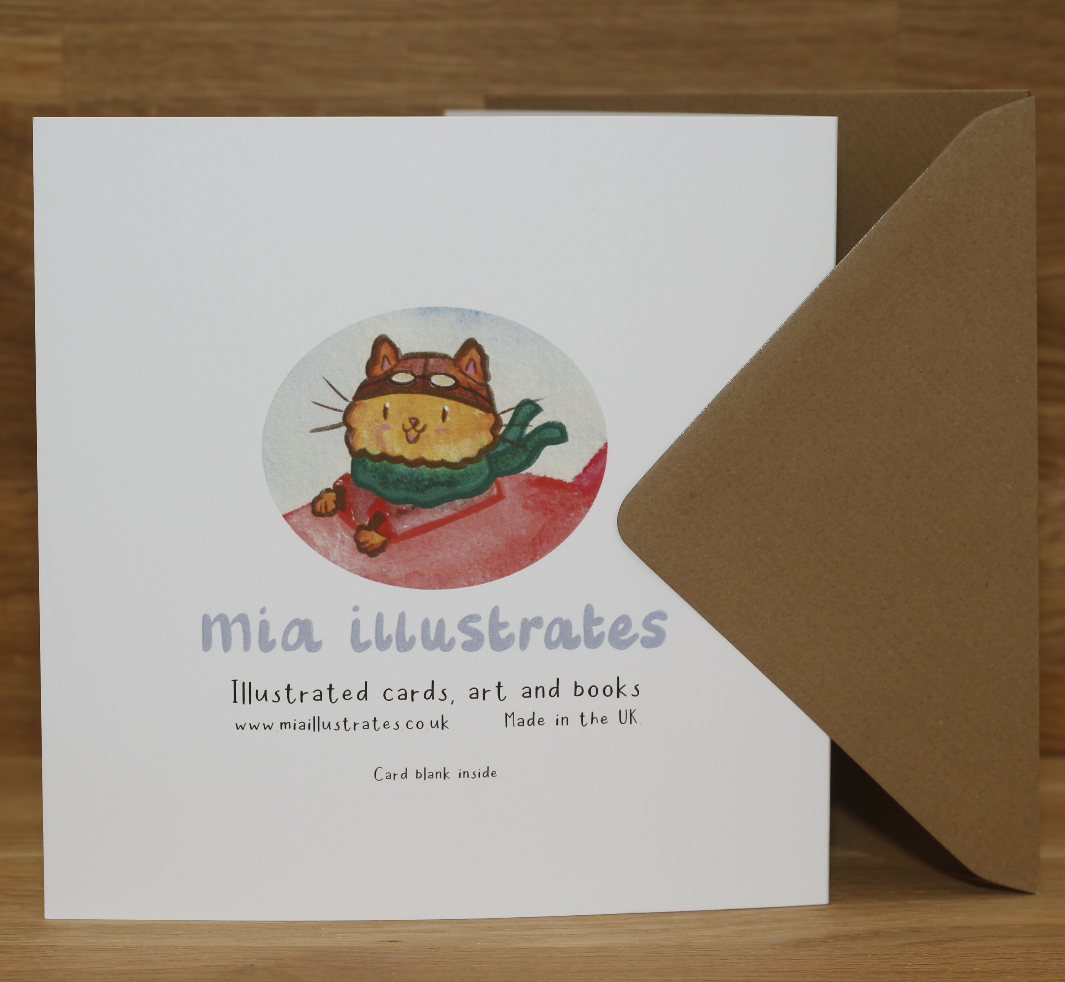 Cat Airplane Birthday Card