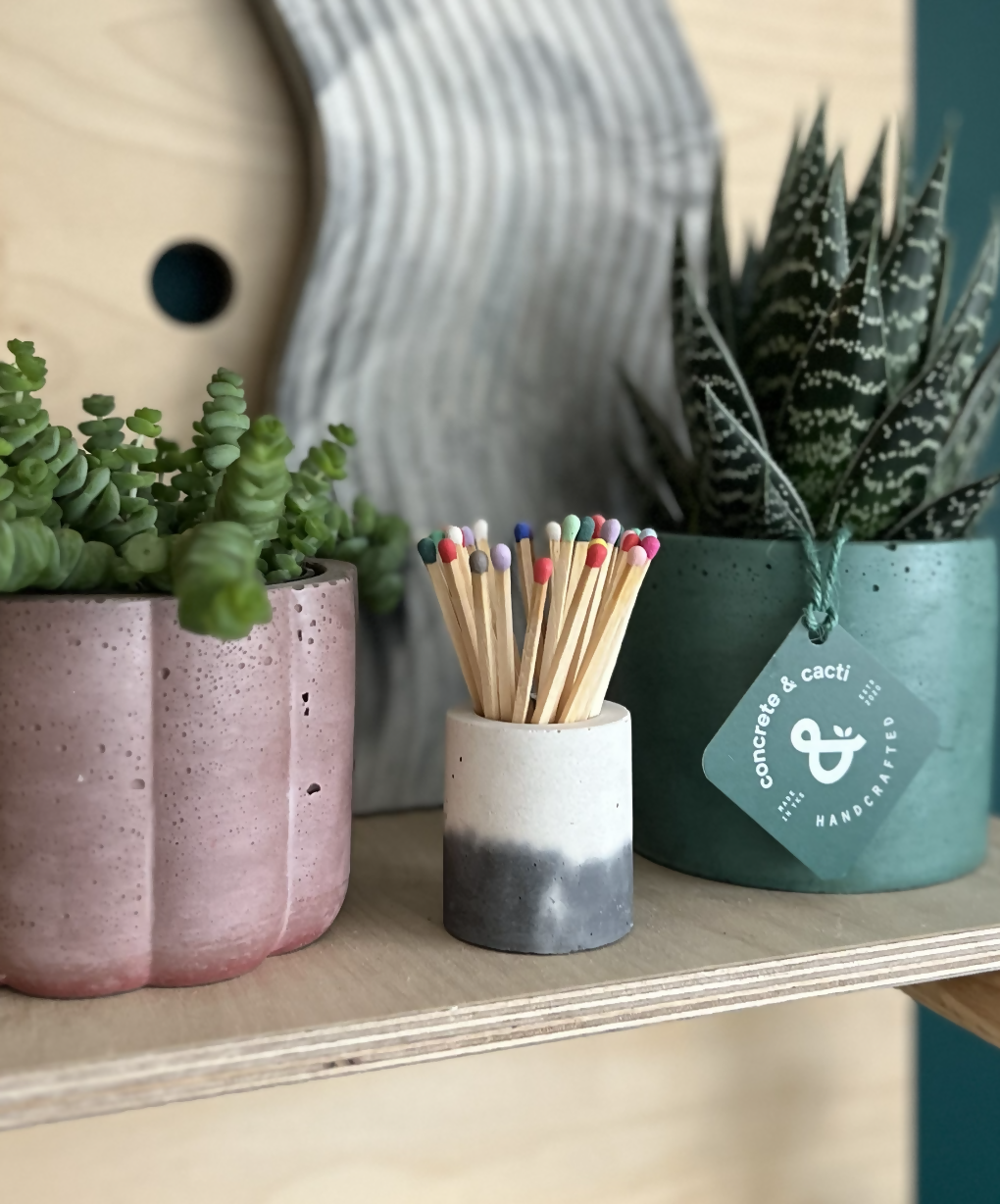 Match Pot & Rainbow Matches