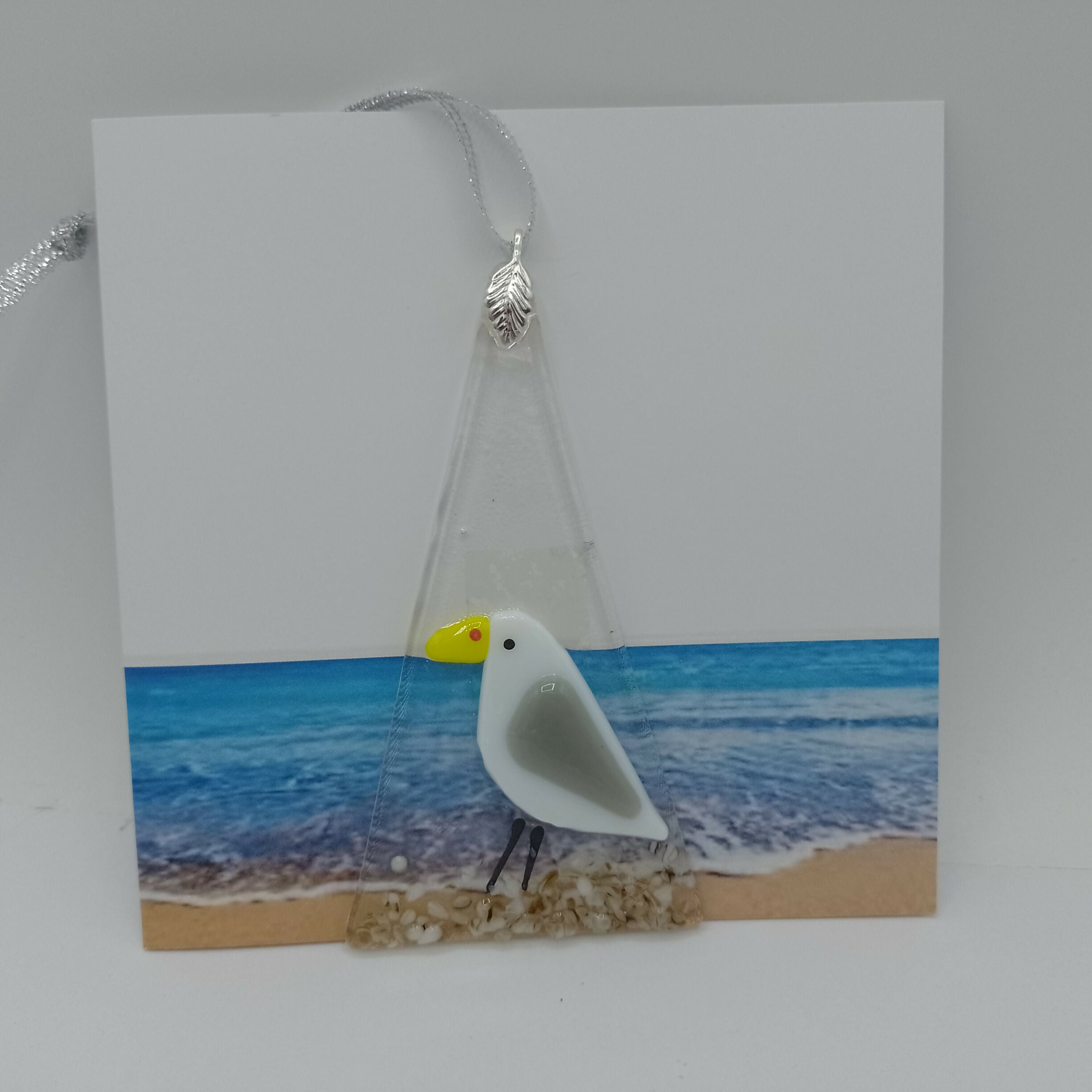 IMG_20250504_134445_060