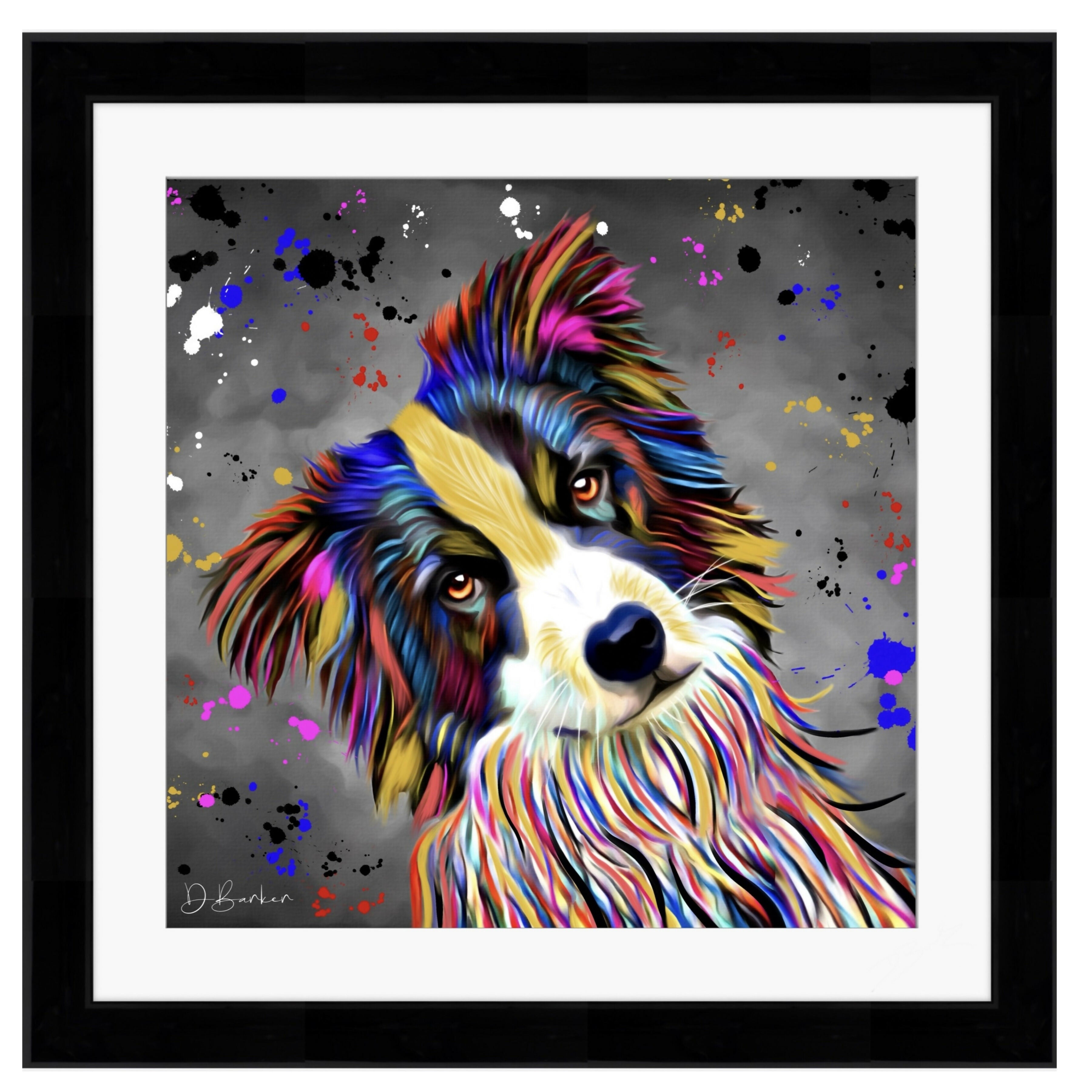 BORDER COLLIE DOG COLOUR SPLASH FRAMED ARTWORK.