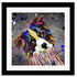 BORDER COLLIE DOG COLOUR SPLASH FRAMED ARTWORK.