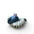 Handmade Porcelain Sea Slugs