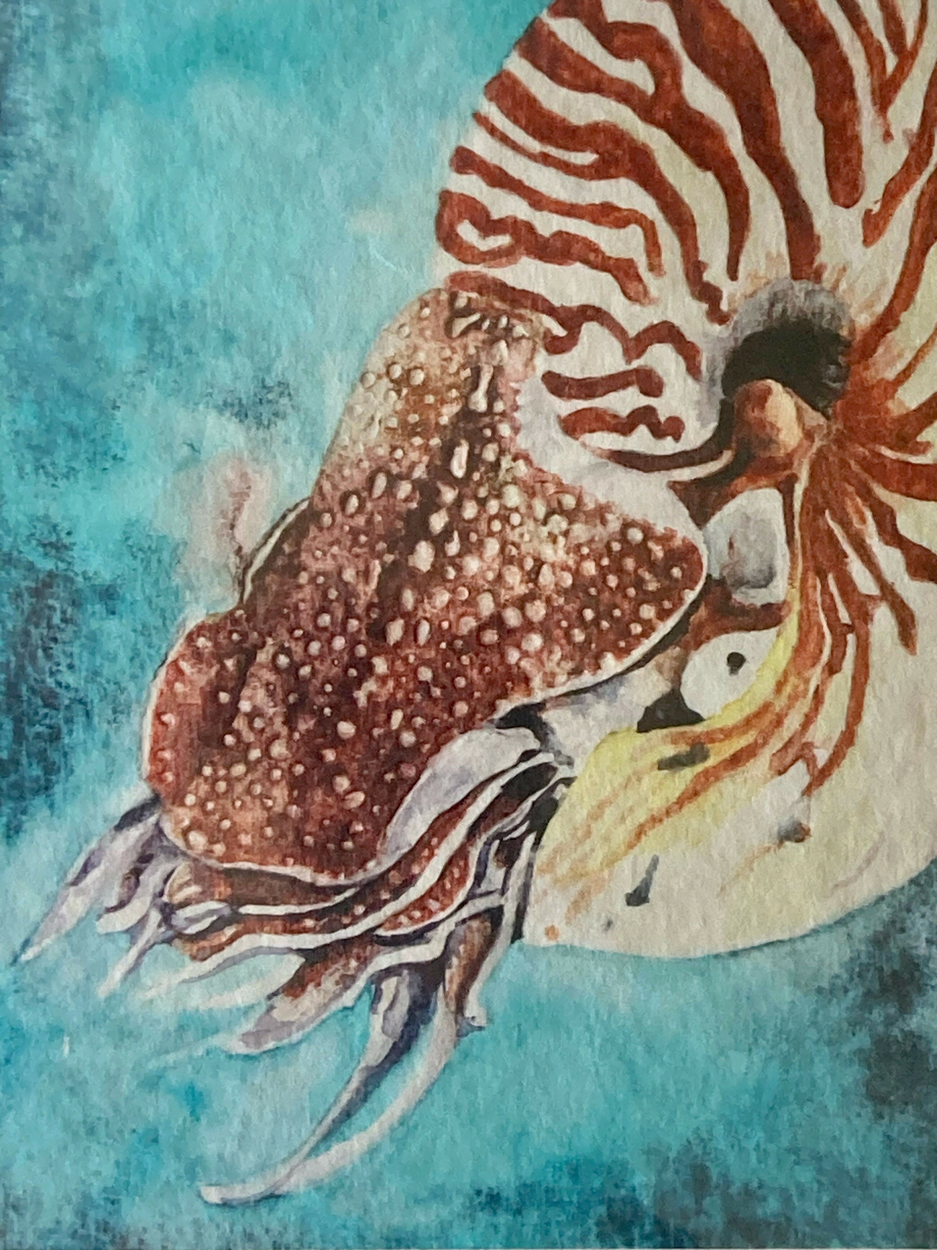 Nautilus - Print