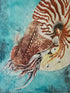 Nautilus - Print