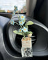 Forget Me Not Flower Car Air Freshener