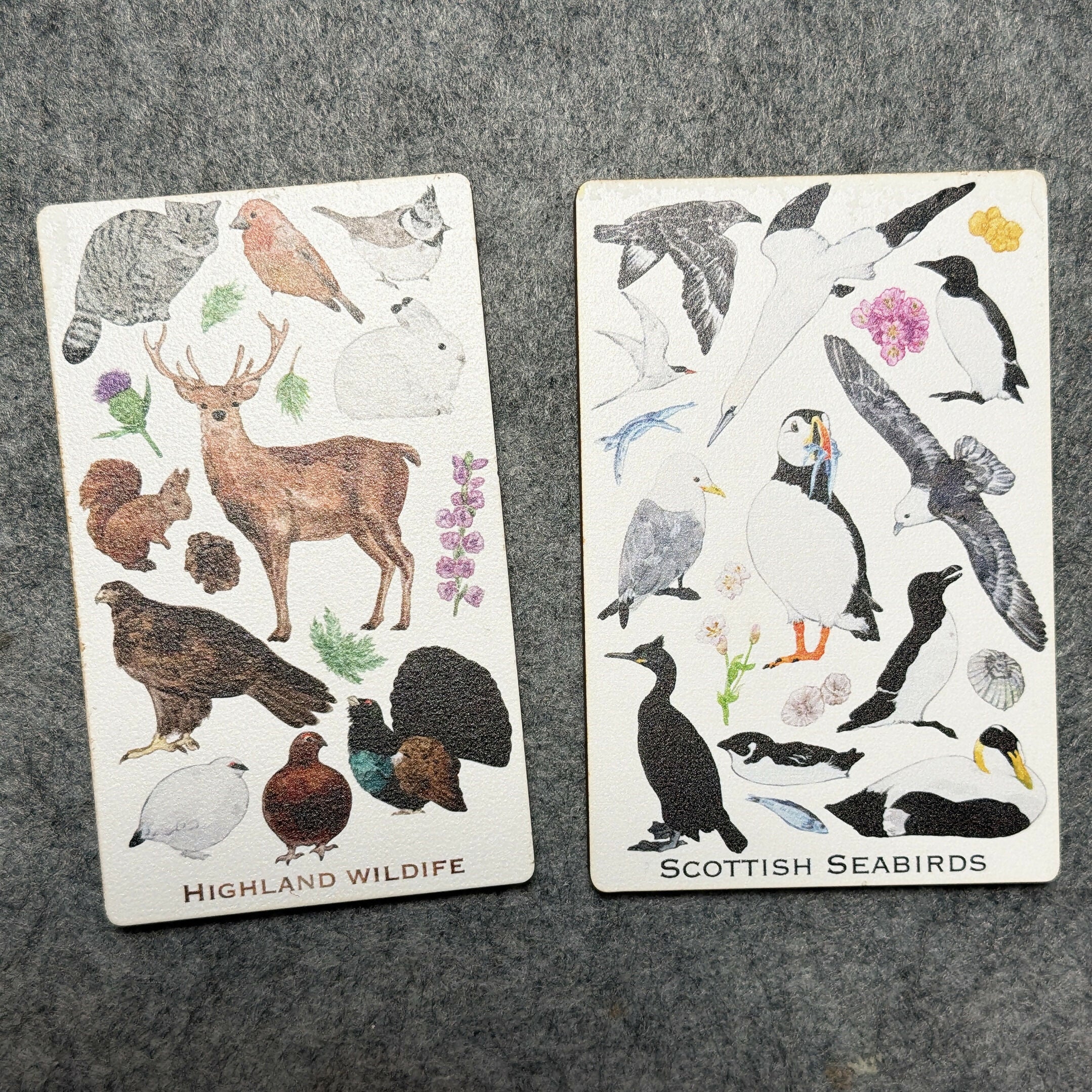 Wooden Magnets-Scottish Seabirds,Highland wildlife