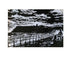 Large wool felted seascape Scarborough North Bay