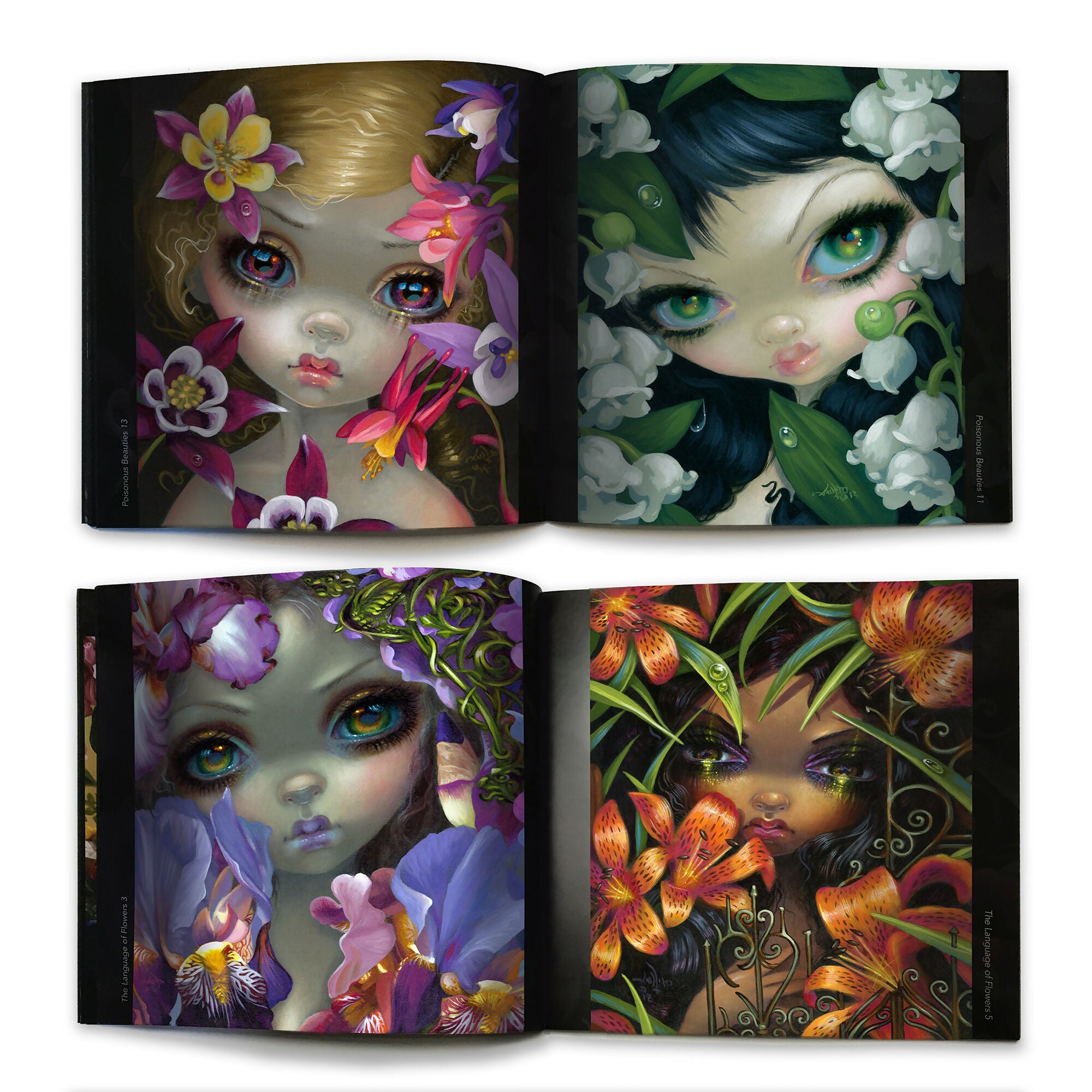 The Little Book of Fairies