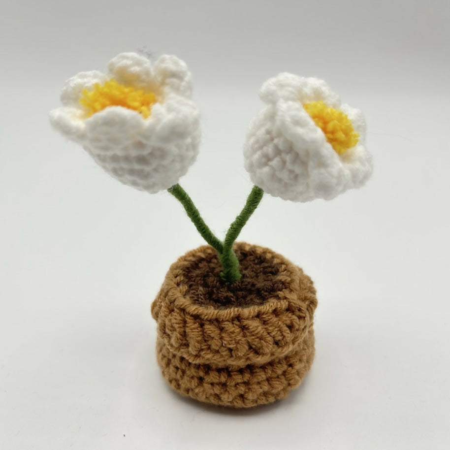 Crochet Mini Pot