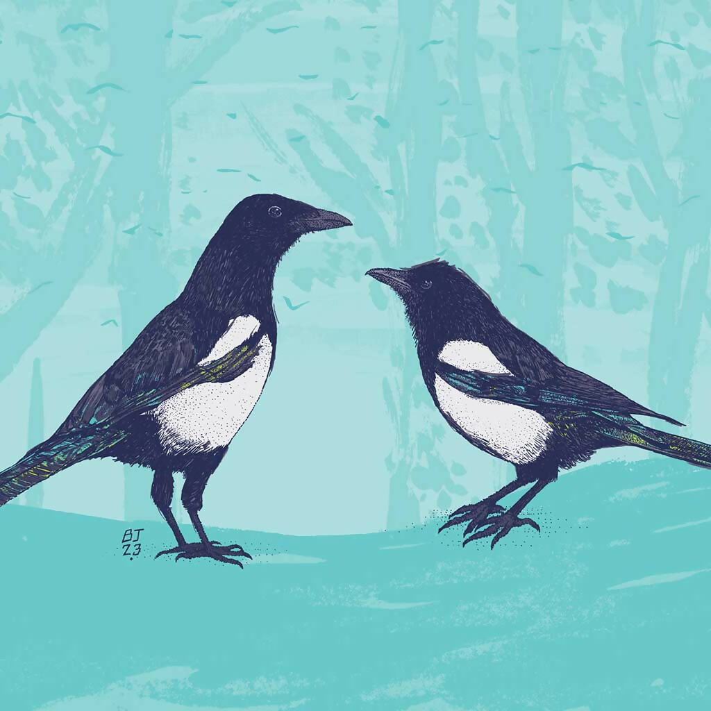 Magpies - Two for Joy Art Print
