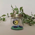 Bee Jar Blue 2 Painty Paws 2025