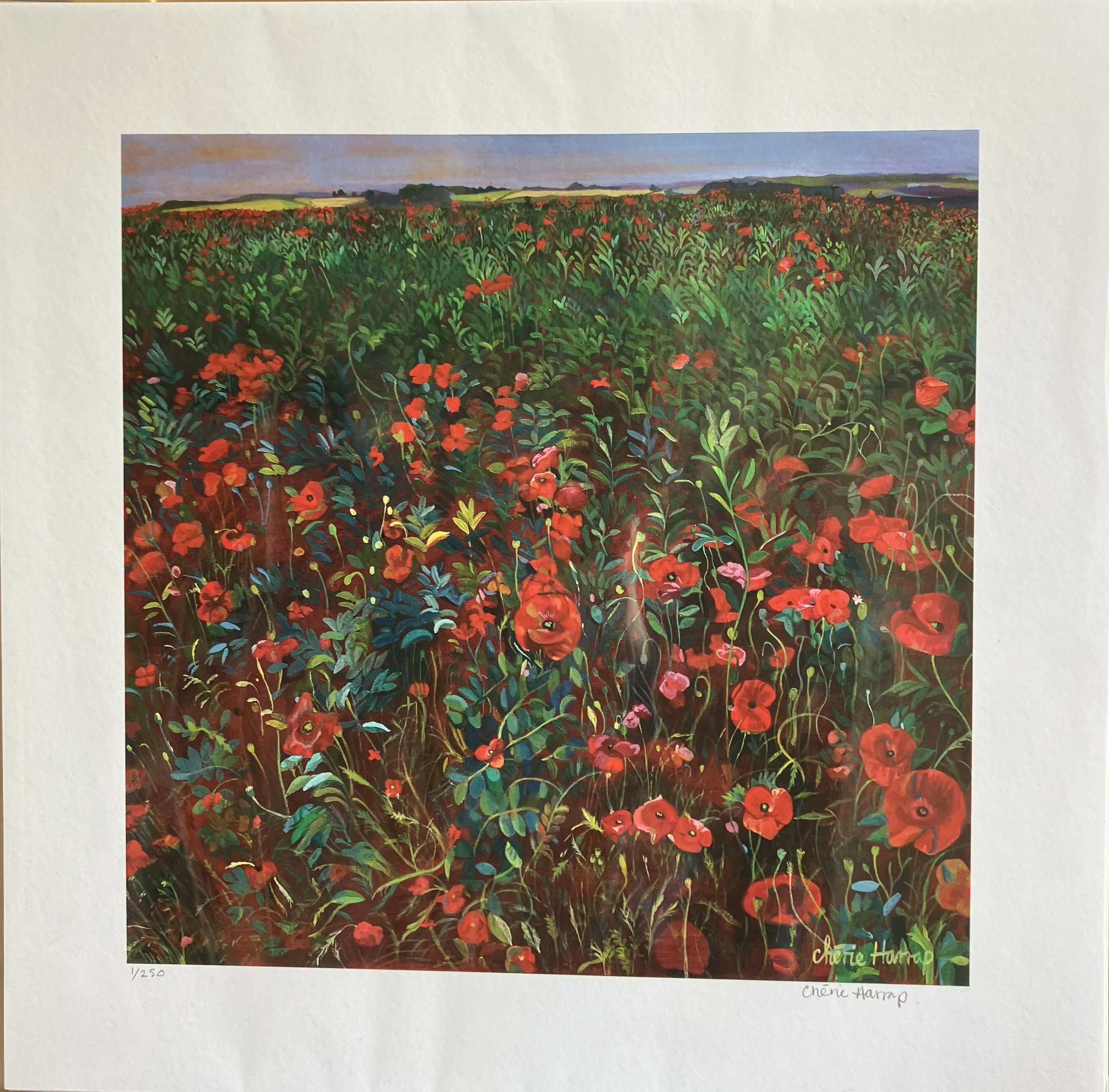 Poppies - 12 x 12” Limited Edition Giclee Print