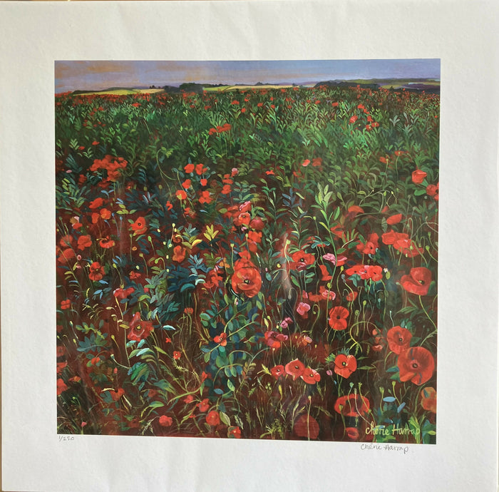‘Poppies’ 12 x 12” limited edition Giclee print.