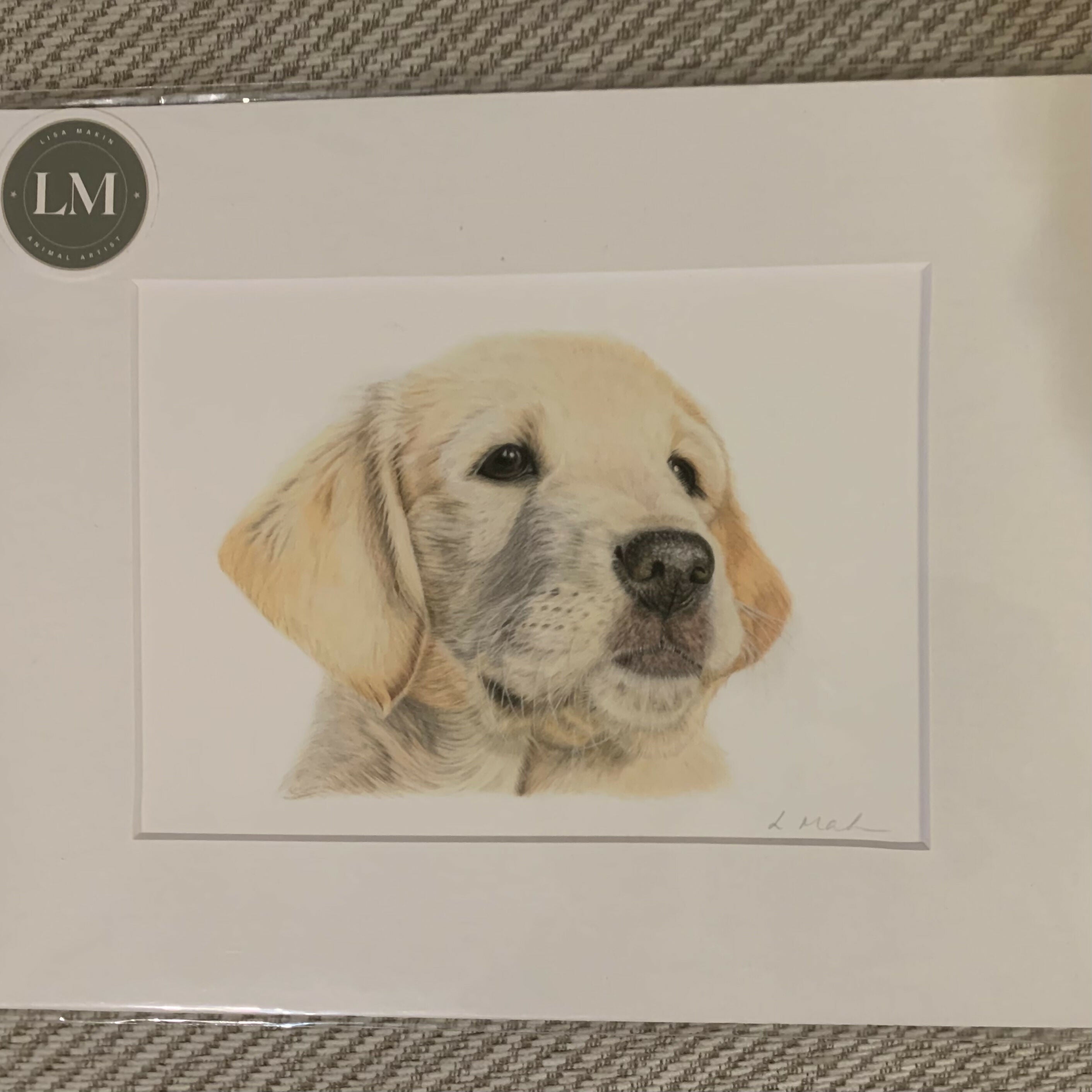 Fine Art Giclée Print of a Labrador Puppy.