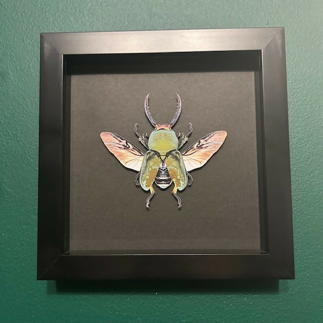 Stunning Faux Paper Jewel Stag Beetle Mounted In A Black Frame