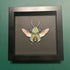 Stunning Faux Paper Jewel Stag Beetle Mounted In A Black Frame