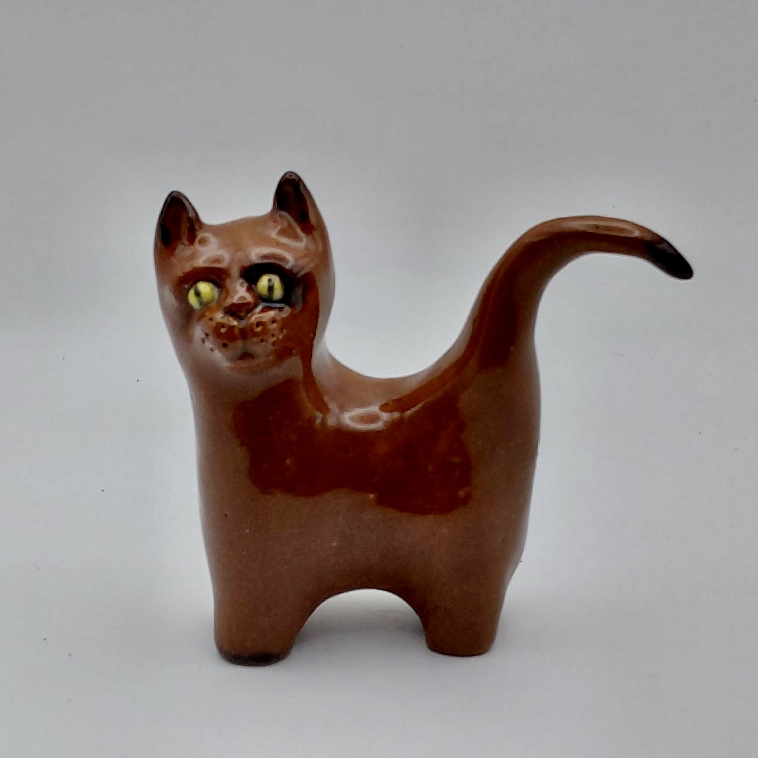 Chestnut Curious cat