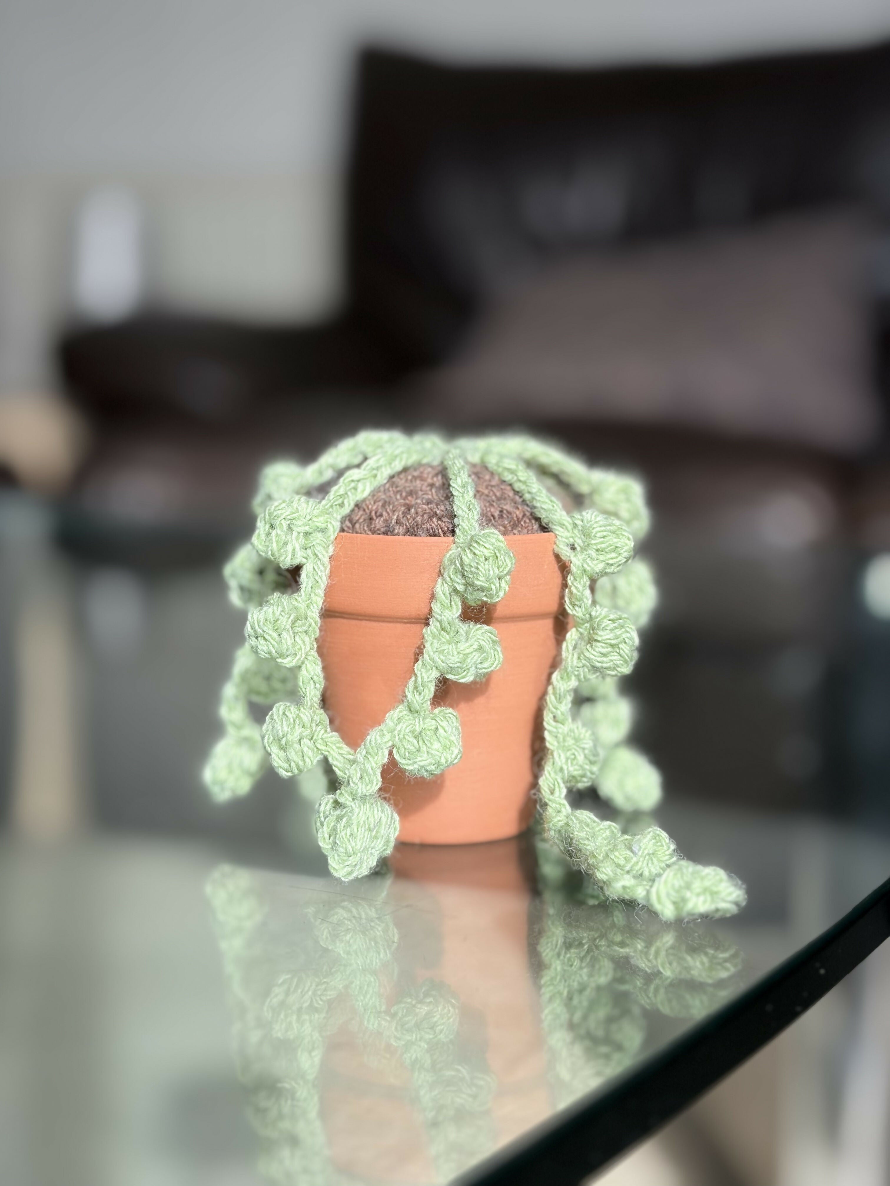 Crochet Potted Cactus