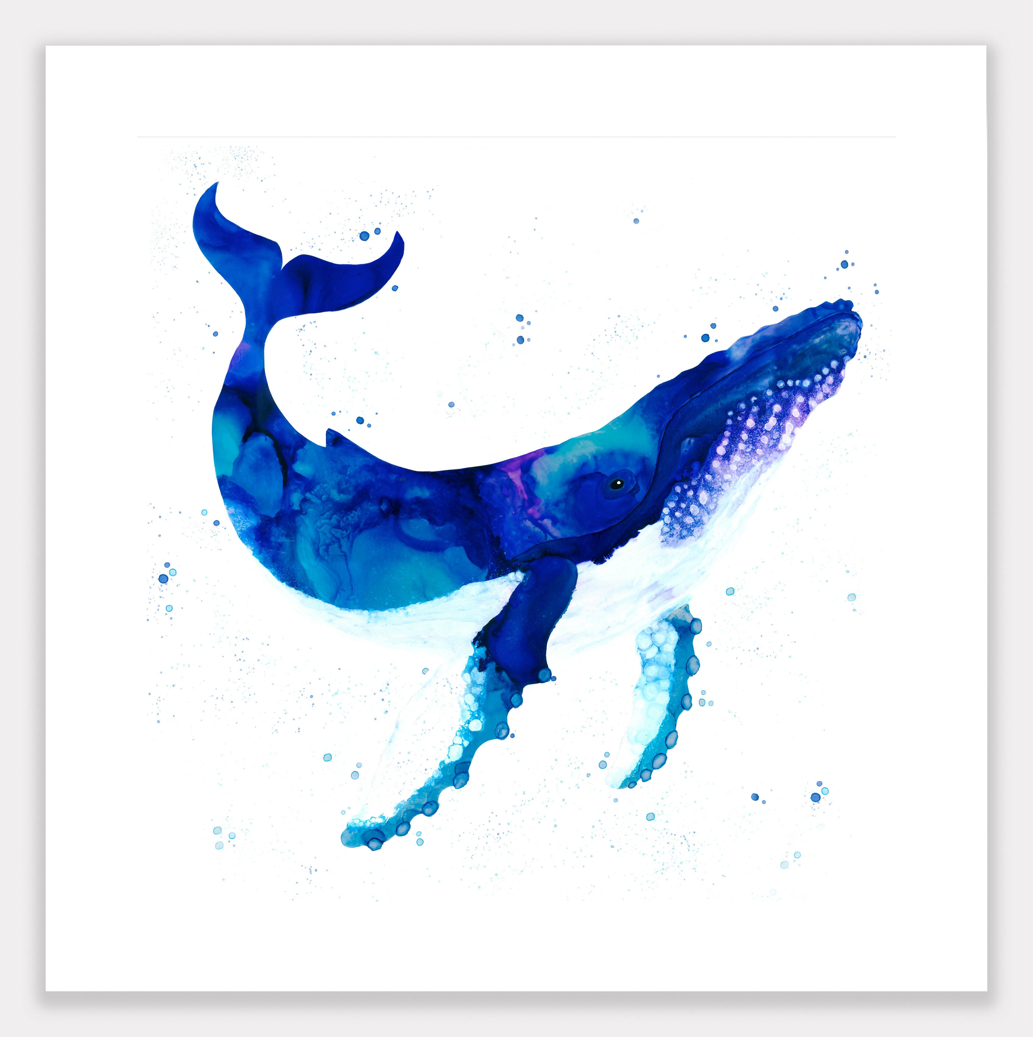 Animal Ink Fine Art Giclee Print (645mm x 470mm)