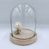 Dome - fairy sitting