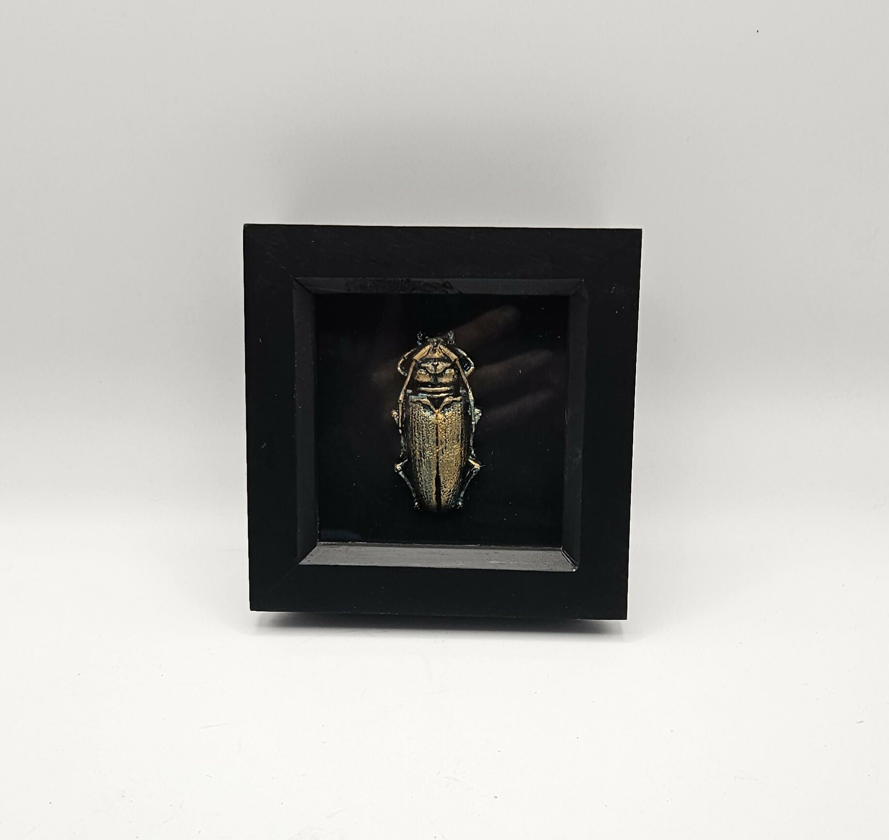 3d Mini Bug Art