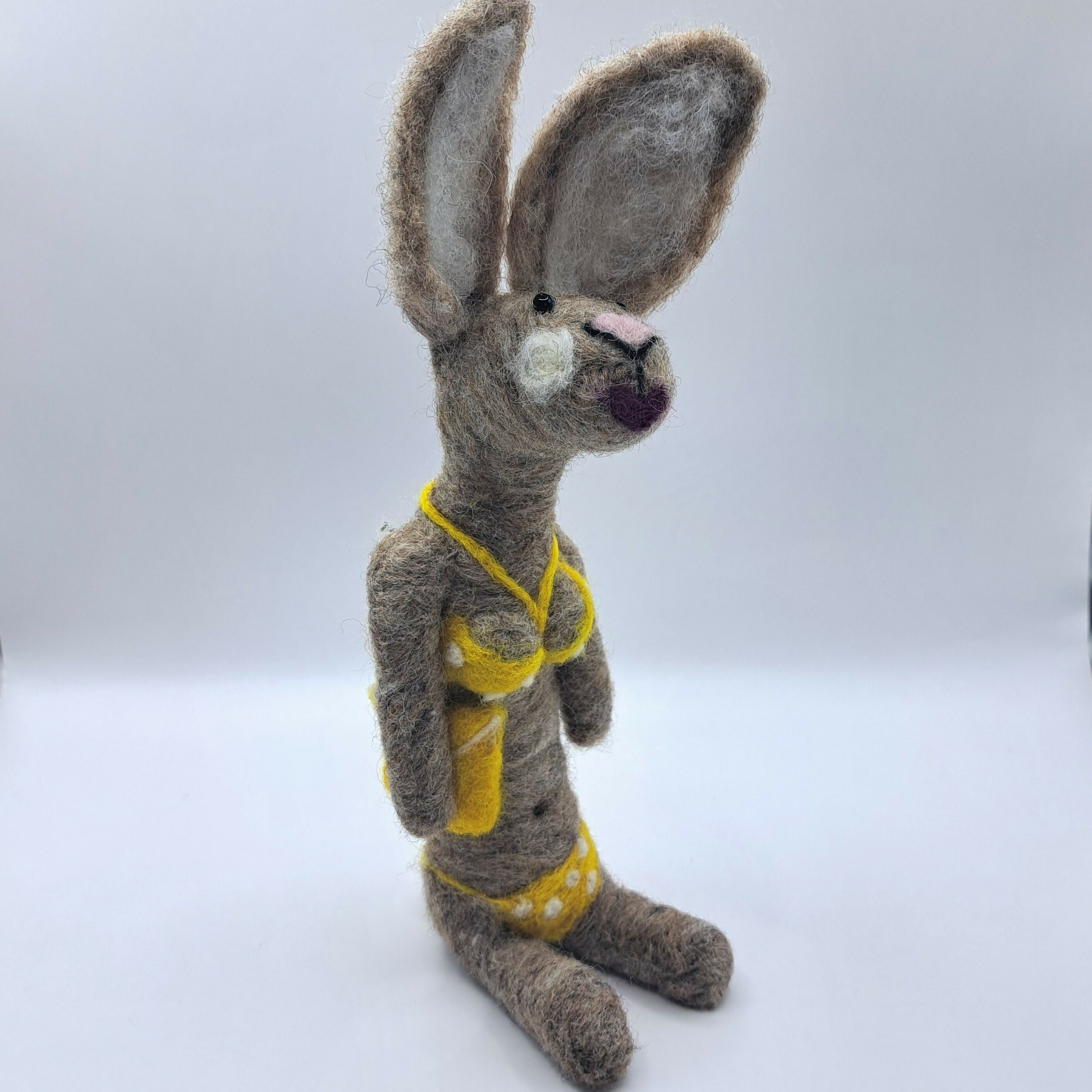 Miss Yorkshire Hare