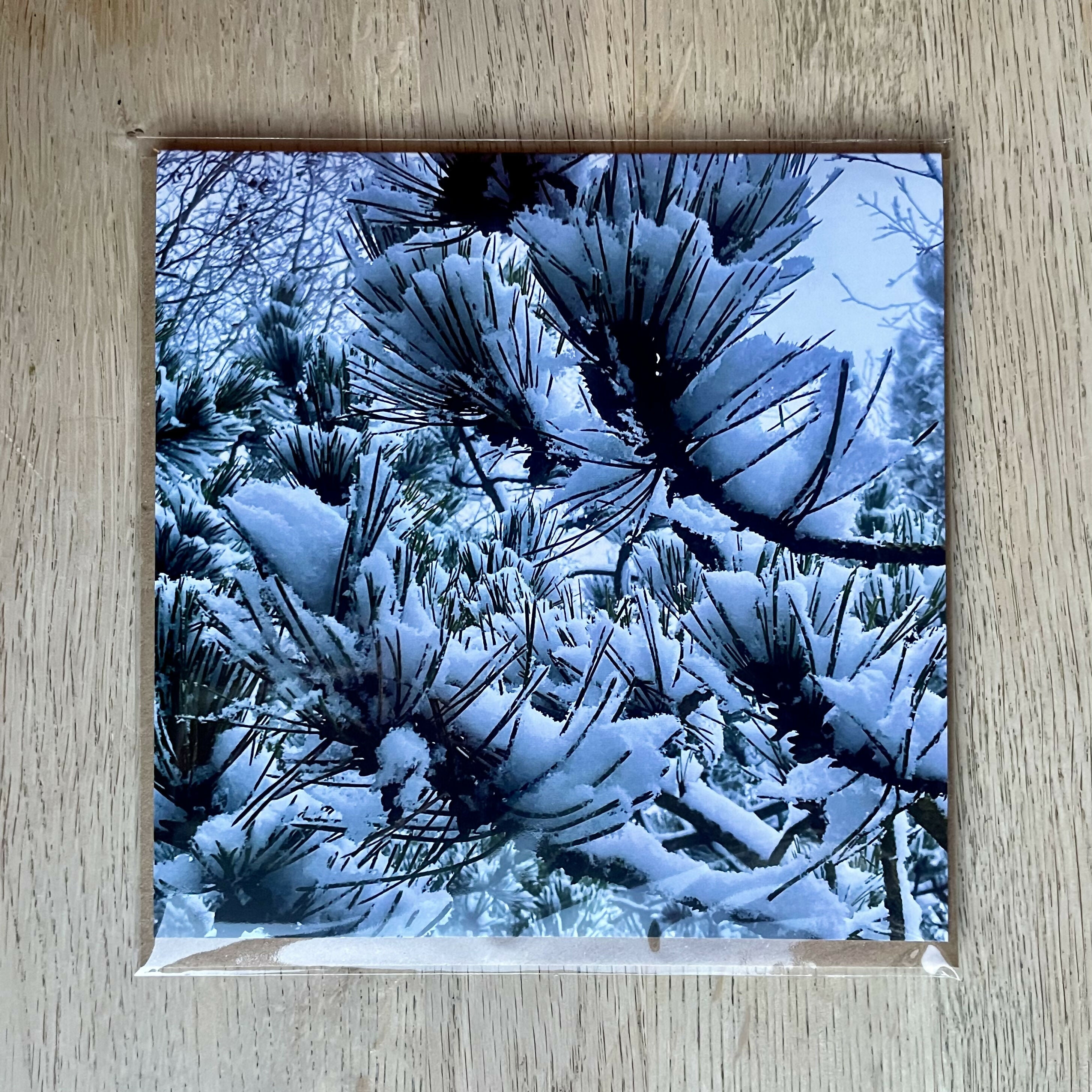 Snow - Square Greetings Card