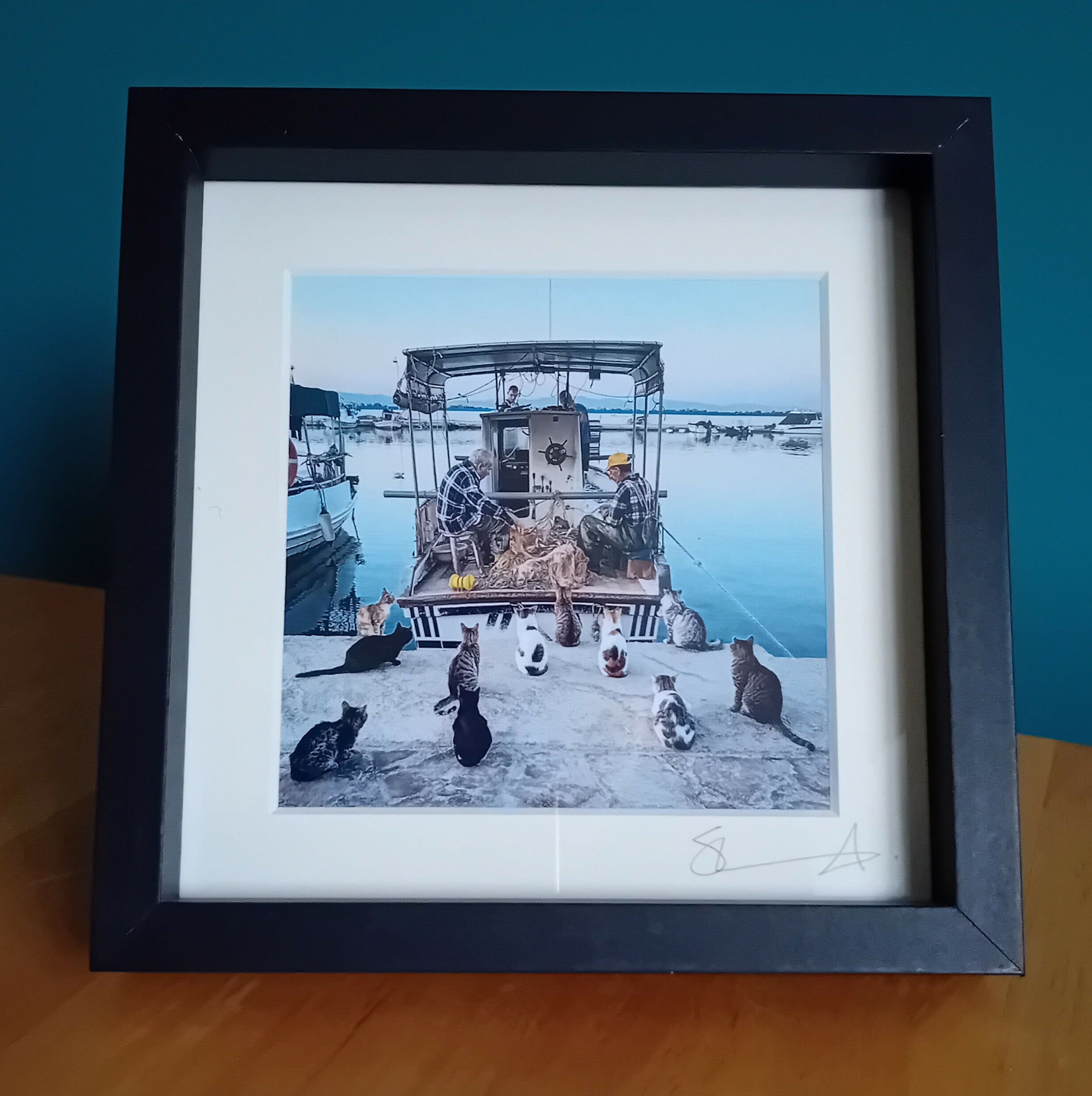 Patient cats (Midi Square Frame)