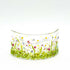 Spring Daisy NMW