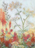 #0437 WHERE THE COW PARSLEY GROWS SM