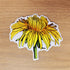 Watercolour Dandelion Flower Vinyl Stickers