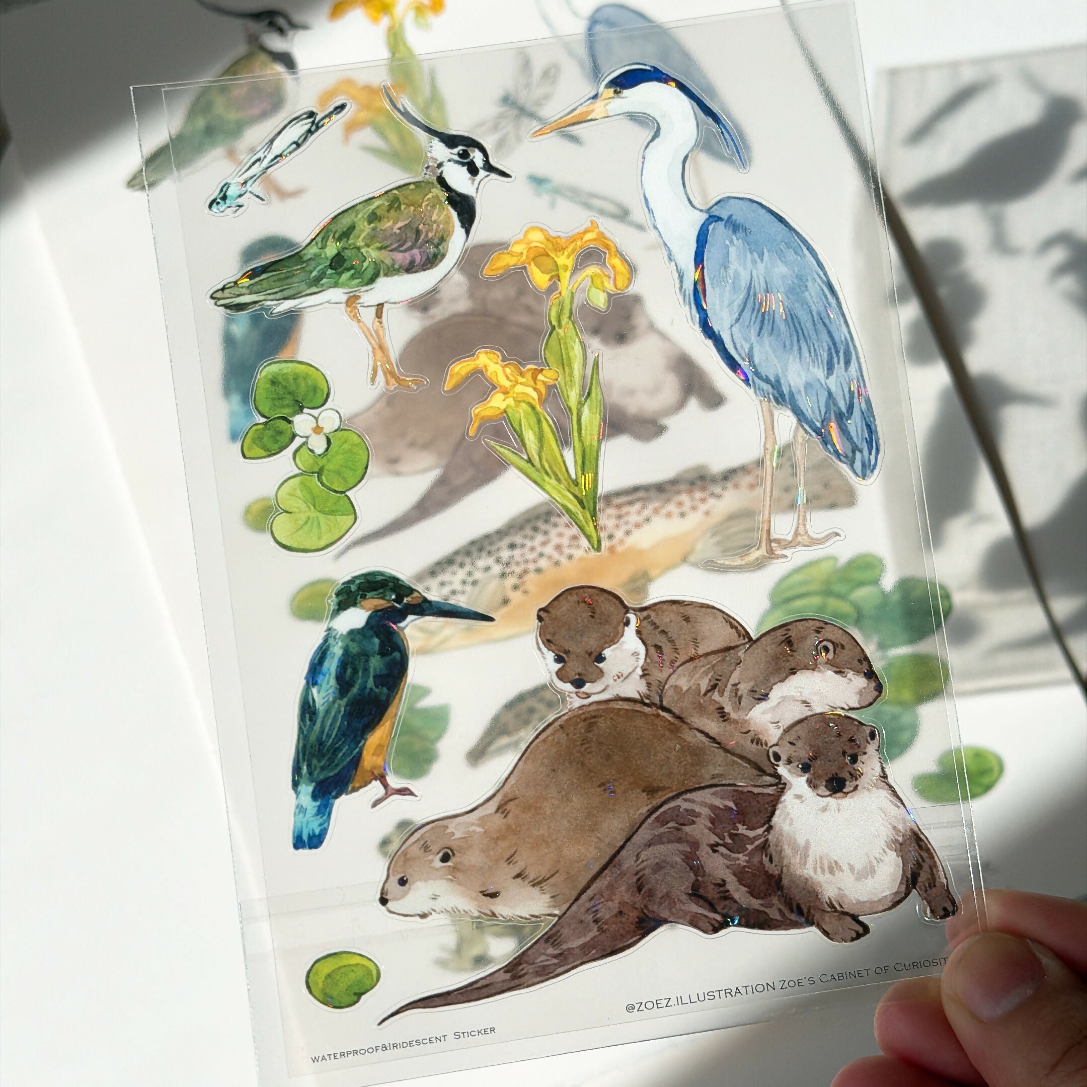 A6 transparent waterproof iridescent wildlife sticker sheet