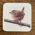 Blue Tit Coaster