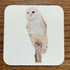 Bird Coasters - Blue Tit, Robin, Goldfinch, Wren